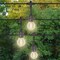Belle Luci Belle Luci Holiday Bright Lights LED G50 Single Filament Bulbs Warm White 2.5 in. 25 lights BLBUG50E25W - alternate 2